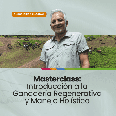 Técnico en gestión de proyectos (1200 x 1200 px) (2)